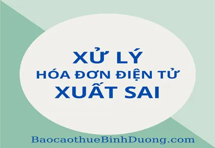 Sản phẩm xu ly hoa don dien tu xuat sai theo tt 781 — Kế Toán Thuế Bảo Ngọc - Công Ty TNHH Dịch Vụ Kế Toán Bảo Ngọc — MST 3702918815