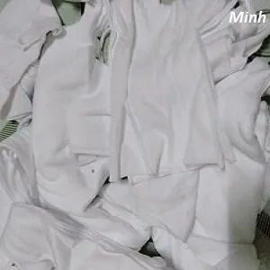 Sản phẩm de lau trang nho 2 300x300 — Vải Lau Minh Đức - Công Ty TNHH Vật Tư Công Nghiệp Minh Đức — MST 3702926012