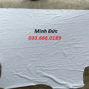 Sản phẩm de lau trang cotton 1 300x300 — Vải Lau Minh Đức - Công Ty TNHH Vật Tư Công Nghiệp Minh Đức — MST 3702926012