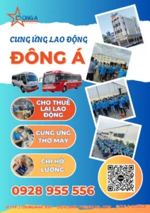 Sản phẩm 556 212x300 — Công Ty TNHH Cung ứng Lao Động Đông á — MST 3702930731