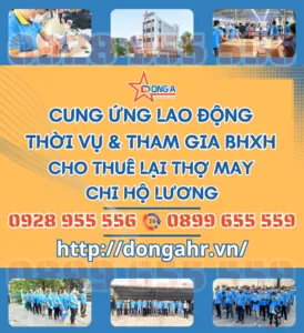 Sản phẩm 2 274x300 — Công Ty TNHH Cung ứng Lao Động Đông á — MST 3702930731
