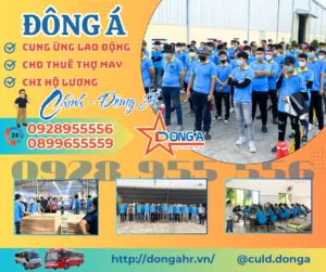 Sản phẩm CUNG UNG LAO DONG 6 300x251 — Công Ty TNHH Cung ứng Lao Động Đông á — MST 3702930731