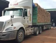 Sản phẩm pallet go thong nha trang dien khanh mien trung 8696 — Công Ty TNHH Pallet Thành Vinh — MST 3702944773
