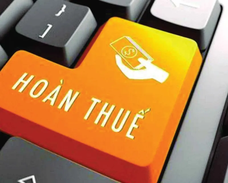 Sản phẩm hoan thue gia tri gia tang — Đại Lý Thuế Lucky Star - Công Ty TNHH Dịch Vụ Tư Vấn Và Đại Lý Thuế Lucky Star — MST 3702948746