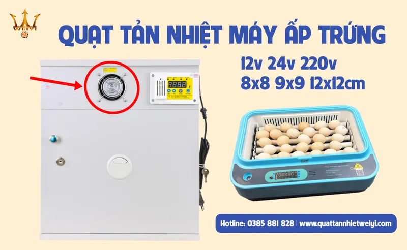 Sản phẩm quat tan nhiet may ap trung 2 — Công ty TNHH Cơ Điện Wei Yi — MST 3702958511