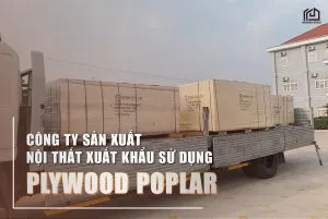 Sản phẩm plywood poplar vanep bach duong woodenhouse_1 300x201 — Công Ty TNHH Sản Xuất Thương Mại Wooden House — MST 3702966738