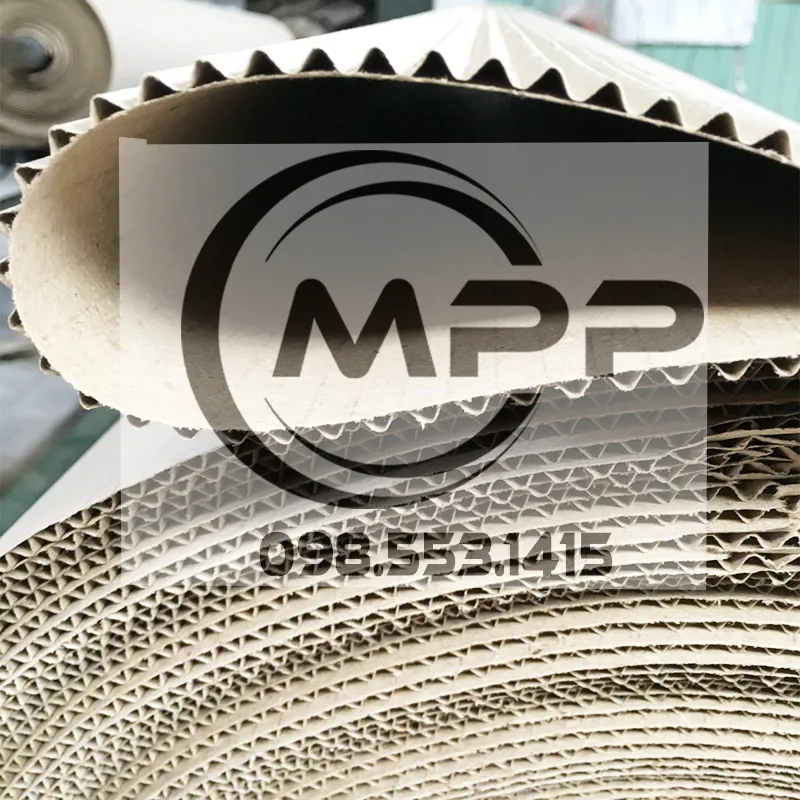 Sản phẩm giay 2 lop (5) — Giấy Cuộn 2 Lớp, Giấy Xeo 2 Lớp Minh Phúc Phát - Công Ty TNHH Minh Phúc Phát — MST 3702982546
