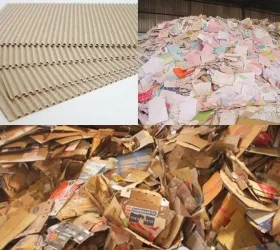 Sản phẩm 11 10 5512 — Công Ty TNHH Một Thành Viên Hiếu Phát Lộc — MST 3703011339