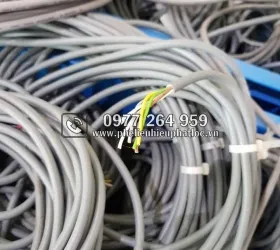 Sản phẩm 11 4 2584 — Công Ty TNHH Một Thành Viên Hiếu Phát Lộc — MST 3703011339