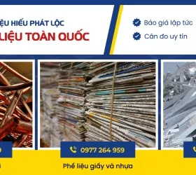 Sản phẩm 19 8732 — Công Ty TNHH Một Thành Viên Hiếu Phát Lộc — MST 3703011339