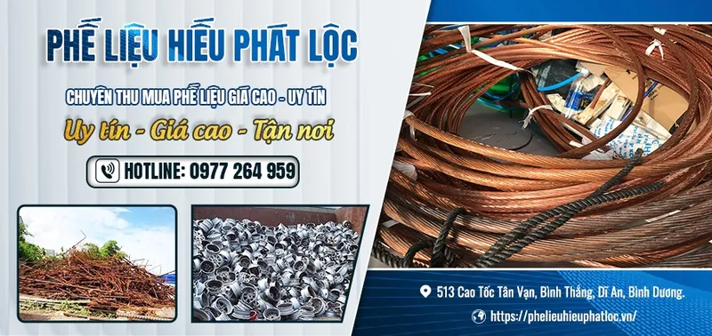 Sản phẩm 4 16661 — Công Ty TNHH Một Thành Viên Hiếu Phát Lộc — MST 3703011339