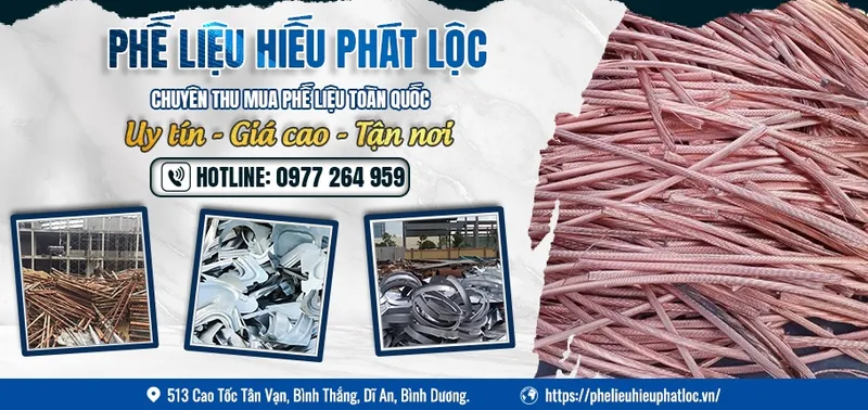 Sản phẩm 5 81530 — Công Ty TNHH Một Thành Viên Hiếu Phát Lộc — MST 3703011339