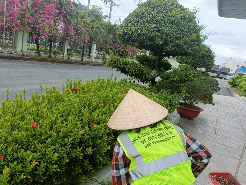 Sản phẩm dich vu tap vu ninja — Vệ Sinh Công Nghiệp Ninja Care - Công Ty TNHH TM DV NINJA SERVICE — MST 3703013865