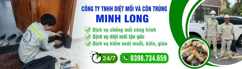 Văn phòng Diệt Mối Minh Long - Công Ty TNHH Thương Mại Dịch Vụ Trừ Mối Và Côn Trùng Minh
Long #1 — MST 3703016062
