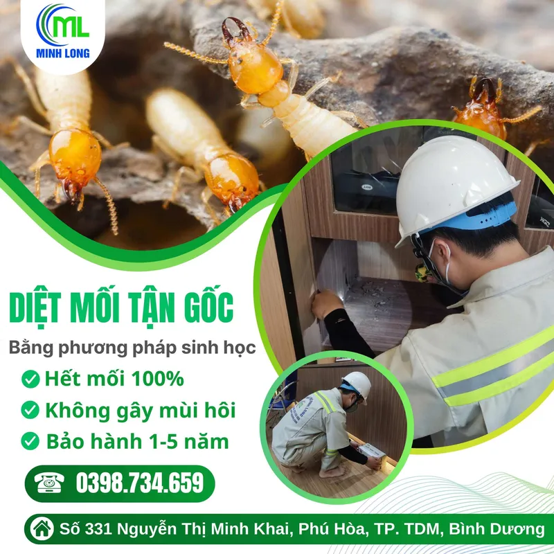 Văn phòng Diệt Mối Minh Long - Công Ty TNHH Thương Mại Dịch Vụ Trừ Mối Và Côn Trùng Minh
Long #? — MST 3703016062