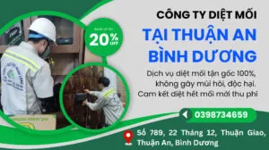 Sản phẩm diet moi tai thuan an 300x168 — Diệt Mối Minh Long - Công Ty TNHH Thương Mại Dịch Vụ Trừ Mối Và Côn Trùng Minh
Long — MST 3703016062