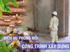 Sản phẩm dich vu phong chong moi cong trinh 300x225 — Diệt Mối Minh Long - Công Ty TNHH Thương Mại Dịch Vụ Trừ Mối Và Côn Trùng Minh
Long — MST 3703016062