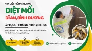 Sản phẩm diet moi di an binh duong 300x169 — Diệt Mối Minh Long - Công Ty TNHH Thương Mại Dịch Vụ Trừ Mối Và Côn Trùng Minh
Long — MST 3703016062