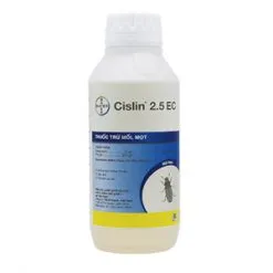 Sản phẩm thuoc diet moi Cislin 2.5ec 1 247x247 — Diệt Mối Minh Long - Công Ty TNHH Thương Mại Dịch Vụ Trừ Mối Và Côn Trùng Minh
Long — MST 3703016062