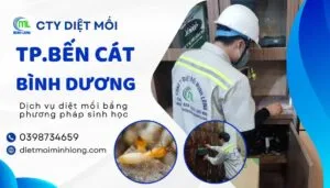 Sản phẩm diet moi ben cat binh duong 300x171 — Diệt Mối Minh Long - Công Ty TNHH Thương Mại Dịch Vụ Trừ Mối Và Côn Trùng Minh
Long — MST 3703016062