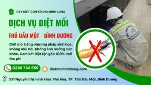 Sản phẩm diet moi tai thu dau mot binh duong 300x169 — Diệt Mối Minh Long - Công Ty TNHH Thương Mại Dịch Vụ Trừ Mối Và Côn Trùng Minh
Long — MST 3703016062