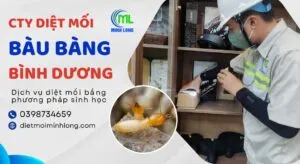 Sản phẩm diet moi bau bang 300x164 — Diệt Mối Minh Long - Công Ty TNHH Thương Mại Dịch Vụ Trừ Mối Và Côn Trùng Minh
Long — MST 3703016062