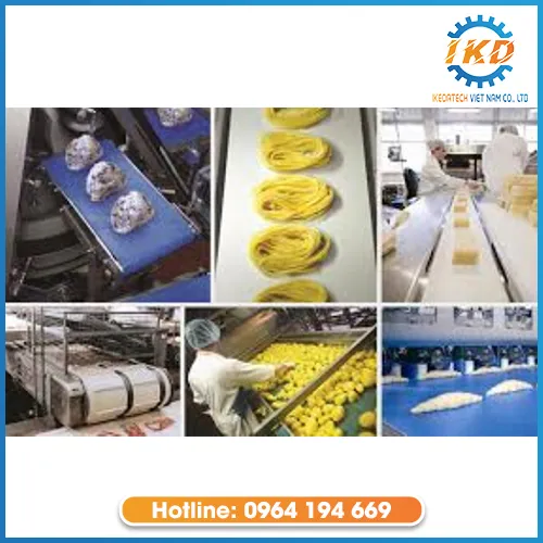 Sản phẩm bang tai thuc pham — Băng Tải IKEDATECH - Công Ty TNHH IKEDATECH Việt Nam — MST 3703032667
