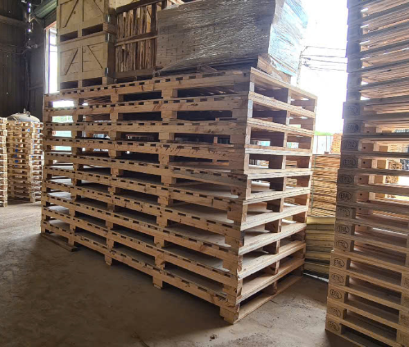 Sản phẩm z67503788370955b0d10b7962e459a641fc72b38fa18de 1752465140.jpg — Pallet á Châu - Công Ty Cổ Phần Wood Pallet á Châu — MST 3703033205