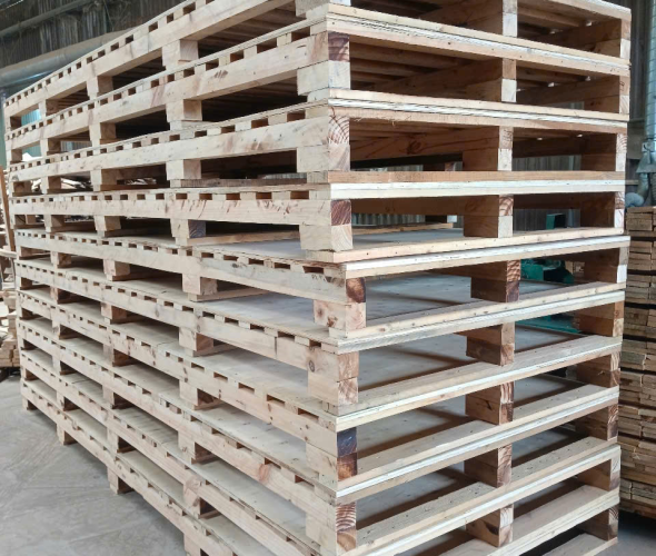 Sản phẩm z6750378841640b9908d4c3aaf446beace348315b5b8d1 1752465140.jpg — Pallet á Châu - Công Ty Cổ Phần Wood Pallet á Châu — MST 3703033205
