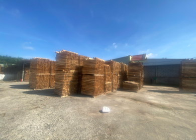 Sản phẩm z678728644370953b04c8ec11a18e7f149d8cb03ec908e 1760689521.jpg — Pallet á Châu - Công Ty Cổ Phần Wood Pallet á Châu — MST 3703033205