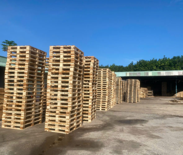 Sản phẩm z67872864519328a3c02ec452222105296332a4e1c0813 1752465140.jpg — Pallet á Châu - Công Ty Cổ Phần Wood Pallet á Châu — MST 3703033205