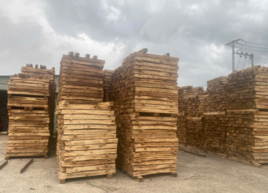 Sản phẩm z6787286522048db09d6d997ccc5dde4529979598af7da 1756702253.jpg — Pallet á Châu - Công Ty Cổ Phần Wood Pallet á Châu — MST 3703033205