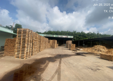 Sản phẩm z67872867081548973577521cc818deb98d291d6bbb891 1769696994.jpg — Pallet á Châu - Công Ty Cổ Phần Wood Pallet á Châu — MST 3703033205