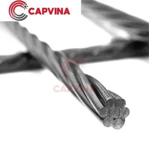 Sản phẩm cap cung 1x7 avt 300x300 — Cáp Thép Bao Báp - Công TNHH Bao Báp Việt Nam — MST 3703046162