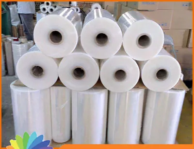 Sản phẩm Jumbo0 mang PE 3 — Văn Phòng Phẩm Cát Tiên VN - Công Ty TNHH TM DV Văn Phòng Phẩm Cát Tiên VN — MST 3703048113