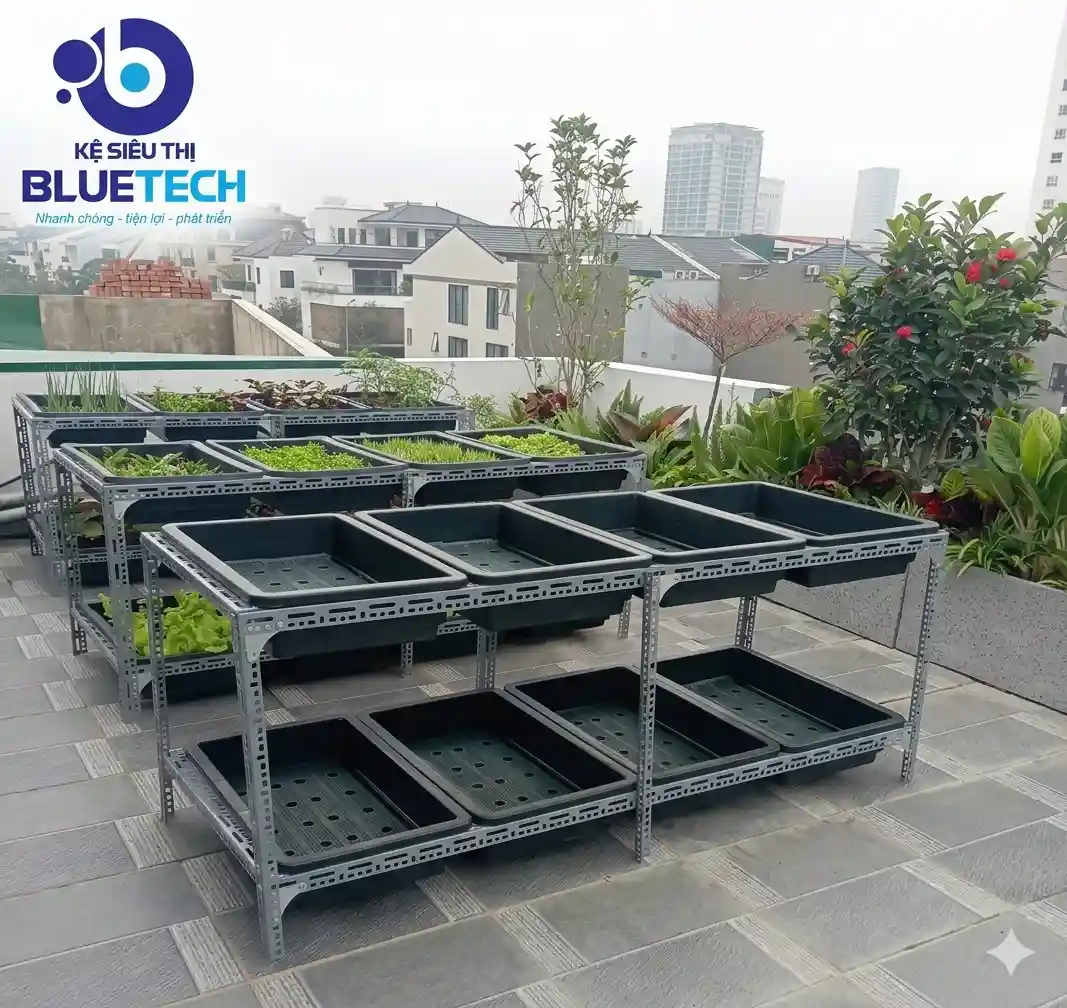 Sản phẩm lap dat ke sat V lo trong rau san thuong Bluetech 2026 — Công Ty TNHH Setup Siêu Thị Bluetech — MST 3703052141