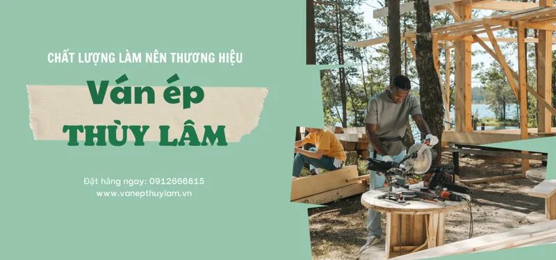 Sản phẩm png202304211653150000 8076 — Ván ép Thùy Lâm - Công Ty TNHH Ván ép Thùy Lâm — MST 3703058249