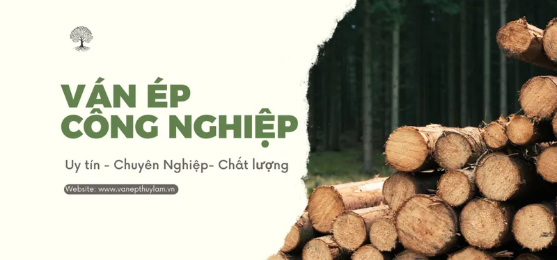 Sản phẩm png202304211655490000 2479 — Ván ép Thùy Lâm - Công Ty TNHH Ván ép Thùy Lâm — MST 3703058249