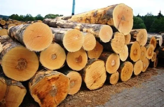 Sản phẩm 84724f98497a15b0491342681d49d751 1 64660 — Ván ép Thùy Lâm - Công Ty TNHH Ván ép Thùy Lâm — MST 3703058249