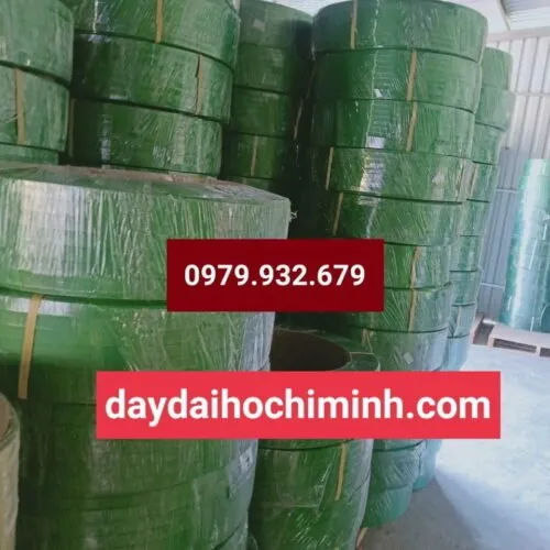 Sản phẩm day dai pet 19mm 500x500 — Công Ty TNHH Sản Xuất Thương Mại P&V — MST 3703065736