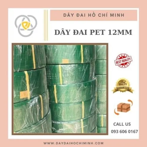Sản phẩm day dai pet 12mm 500x500 — Công Ty TNHH Sản Xuất Thương Mại P&V — MST 3703065736