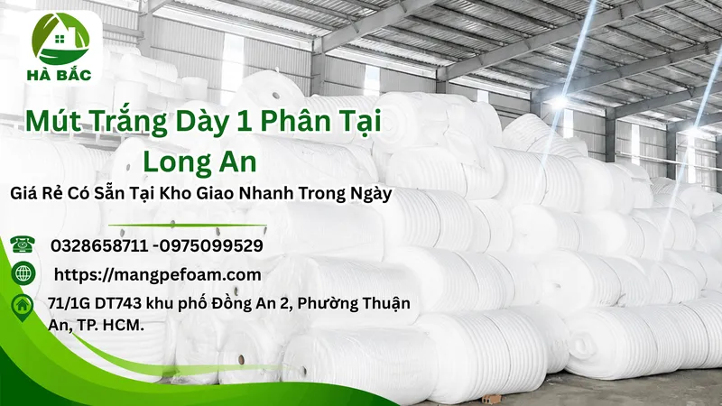 Sản phẩm 1 6 scaled — Xốp Chèn Khe - Công Ty TNHH HPT FOAM — MST 3703067638