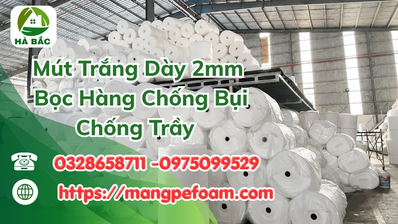 Sản phẩm 1 2 scaled — Xốp Chèn Khe - Công Ty TNHH HPT FOAM — MST 3703067638