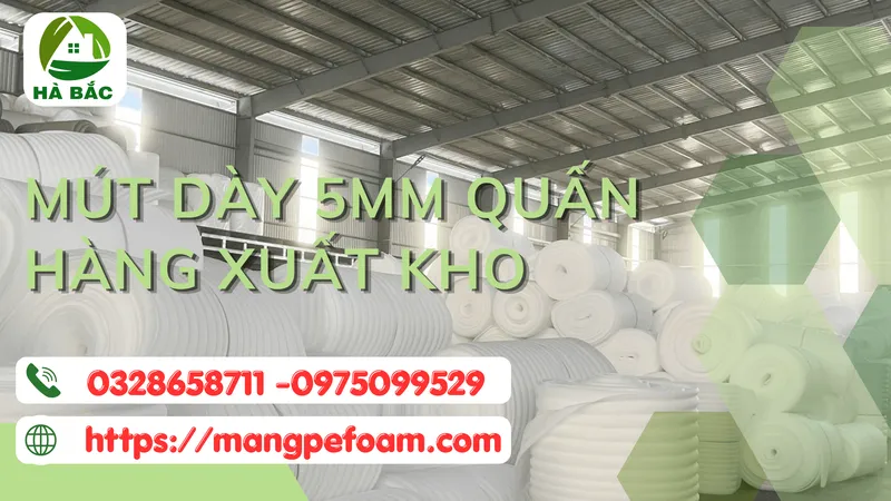 Sản phẩm 1 6 scaled — Xốp Chèn Khe - Công Ty TNHH HPT FOAM — MST 3703067638