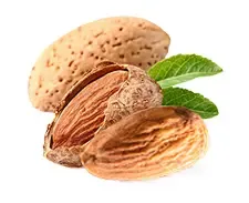 Sản phẩm 20250117115210 — Công Ty TNHH Sunagro Food (Viet Nam) — MST 3703070408