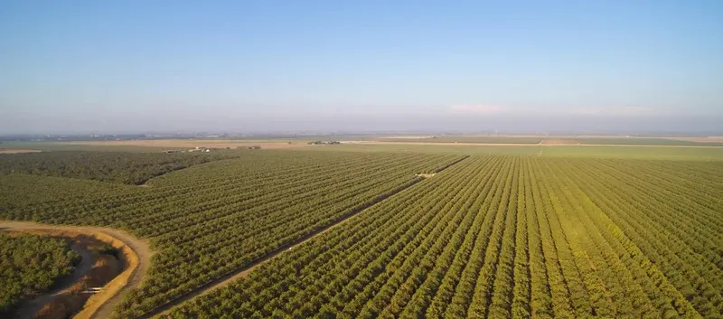 Sản phẩm 20250117130334 — Công Ty TNHH Sunagro Food (Viet Nam) — MST 3703070408