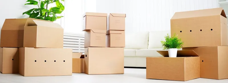 Sản phẩm 8116795283552390 — Công Ty TNHH Dịch Vụ TM Sản Xuất Bao Bì Cảnh Thịnh — MST 3703071578