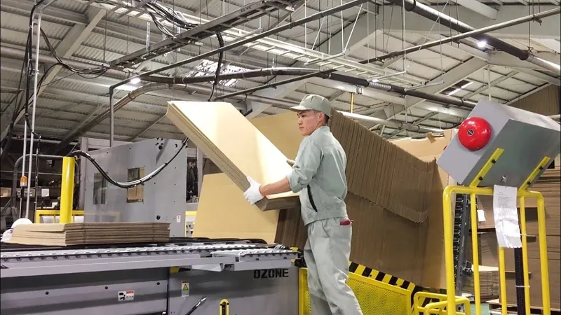 Sản phẩm 6 thung carton Thu Dau Mot — Công Ty TNHH Dịch Vụ TM Sản Xuất Bao Bì Cảnh Thịnh — MST 3703071578