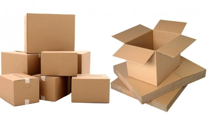 Sản phẩm thung giay carton 1 — Công Ty TNHH Dịch Vụ TM Sản Xuất Bao Bì Cảnh Thịnh — MST 3703071578