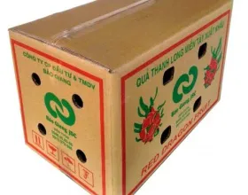Sản phẩm 6 981 — Công Ty TNHH Dịch Vụ TM Sản Xuất Bao Bì Cảnh Thịnh — MST 3703071578